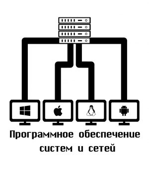 Программное обеспечение систем и сетей